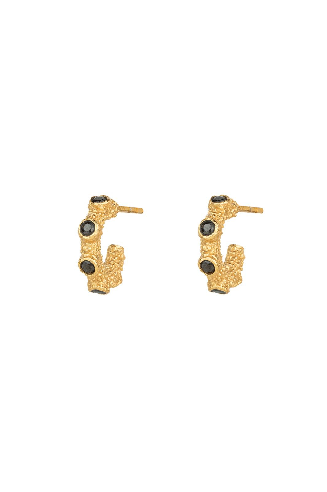 House Of Vincent - Isle Haze Hoop Earrings VJ225-UEG - Black - Gilded
