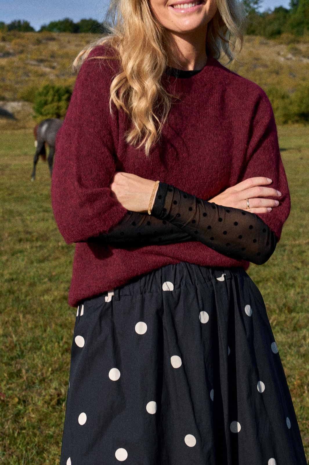 Black Colour - Bcjennie Dotted Mesh Blouse 40611 - Shirts - Espresso
