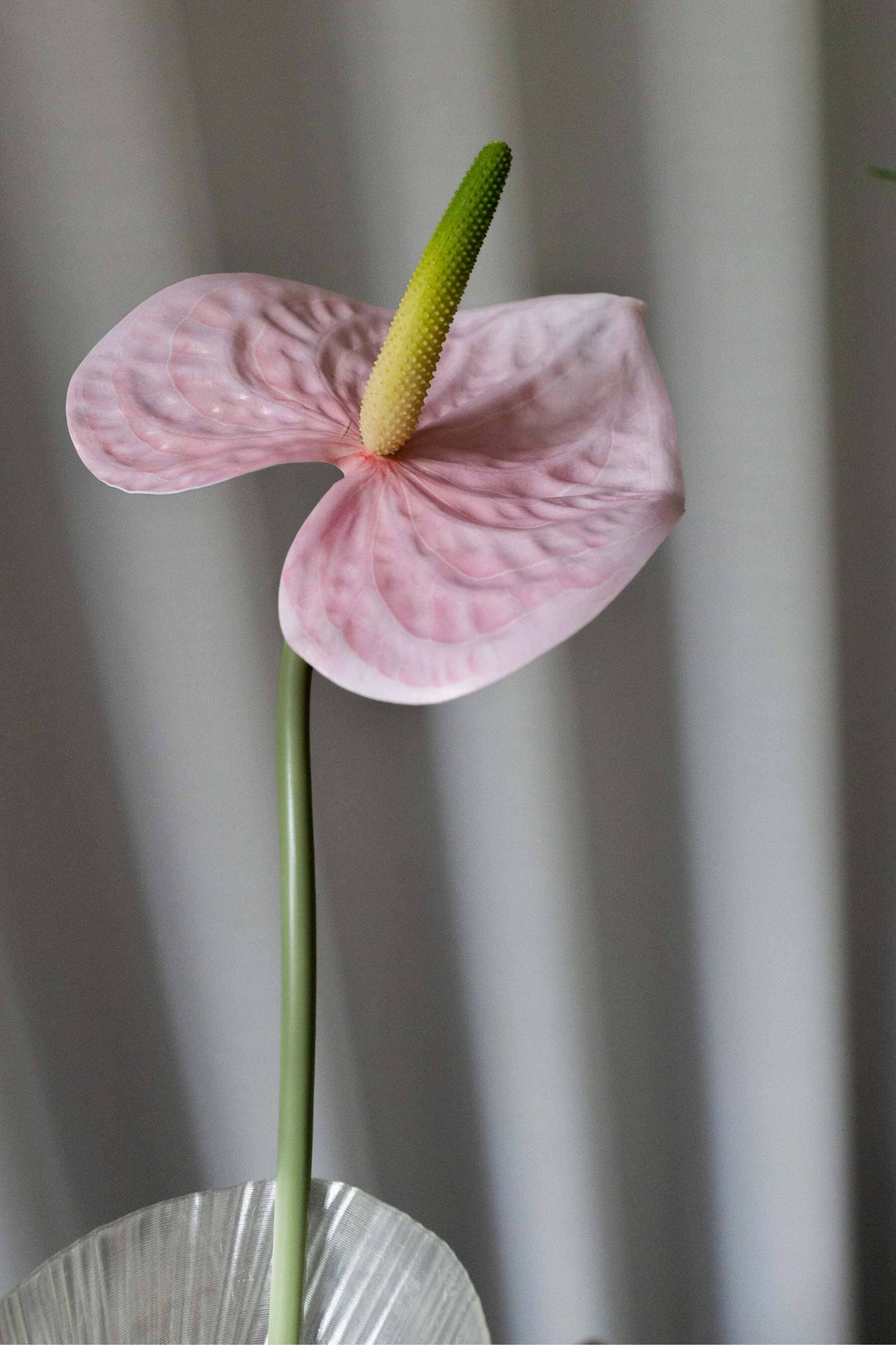 Bloom Objects - Artificial Lifelike Anthurium - Pink - 02-235 Pink 