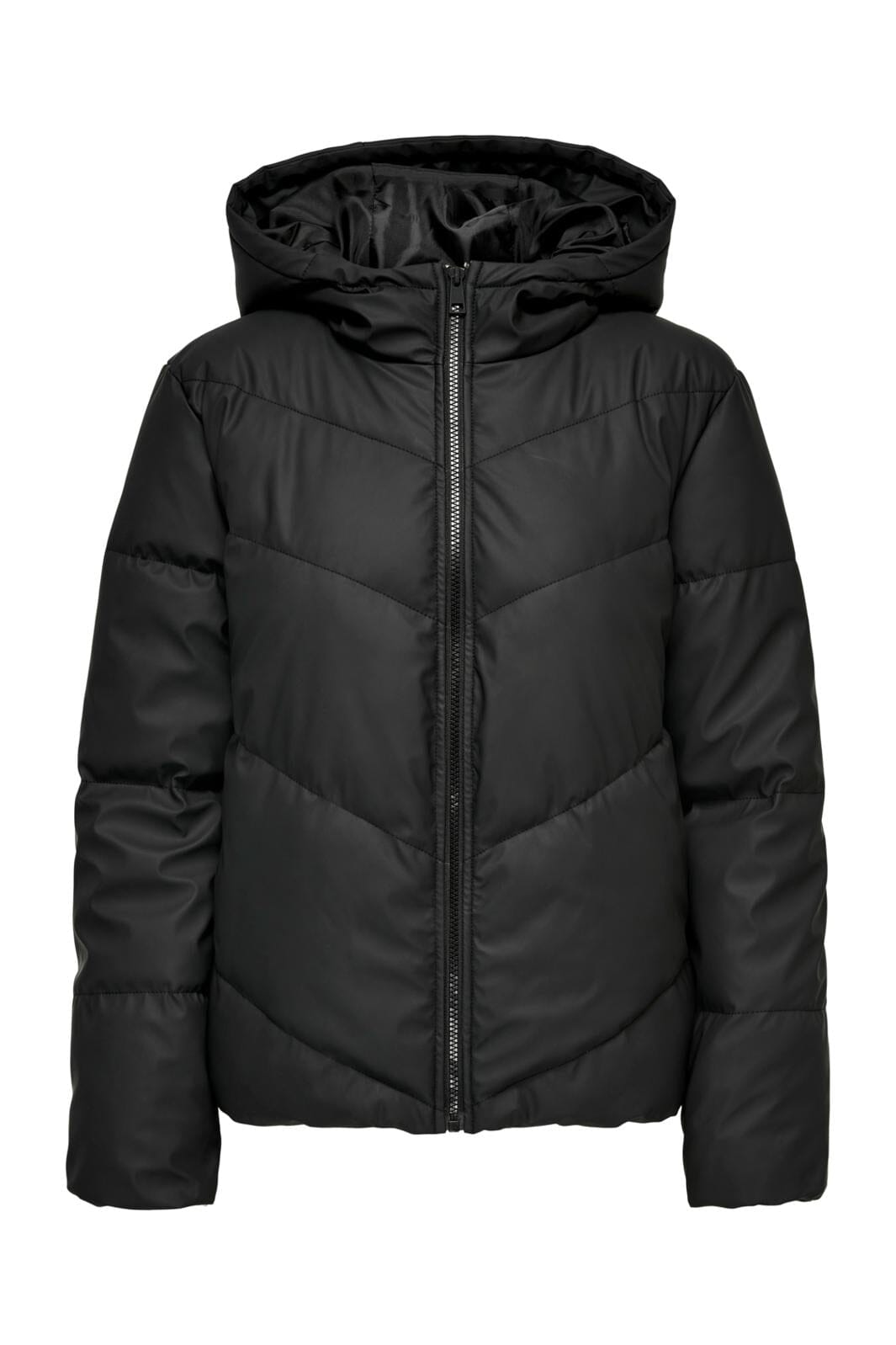 Jdy - Jdyarnhem Water Short Puffa - 4089199 Black