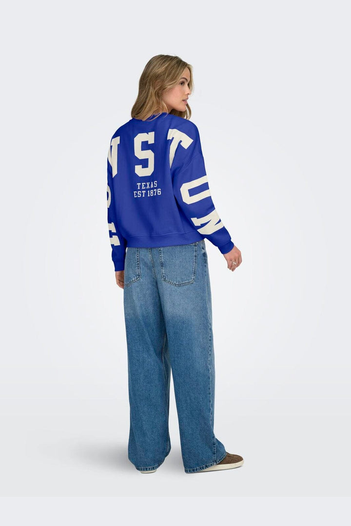 Only - Onlsweat L/S Back/Sleeve Print Swt - 4845924 Surf The Web Birch Houston Print